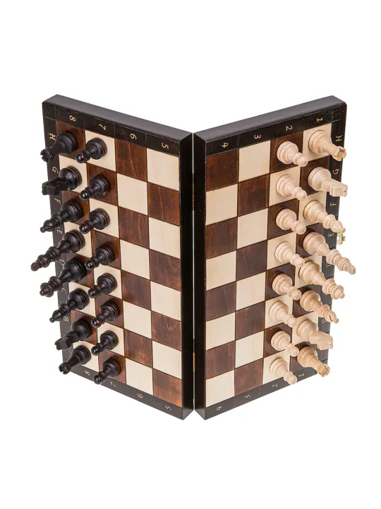 Schach Magnetisch