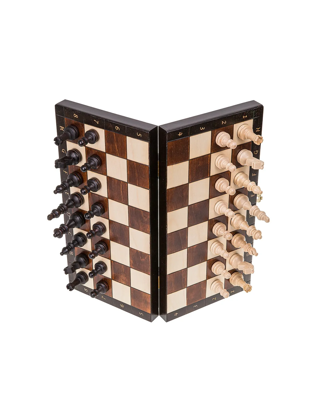 Schach Magnetisch