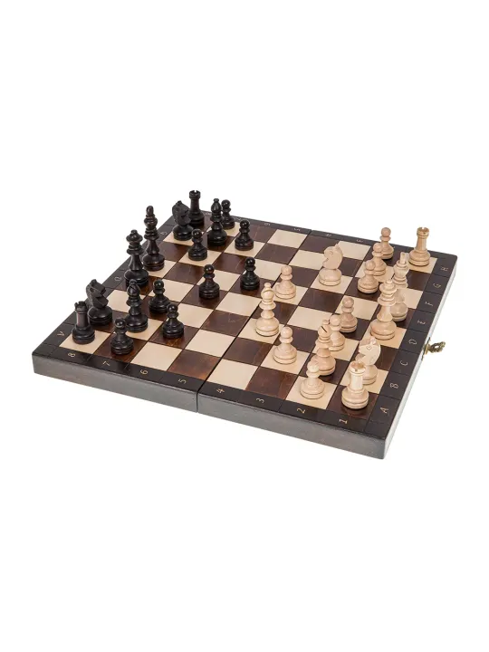 Schach Magnetisch