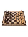 Schach Junior AG